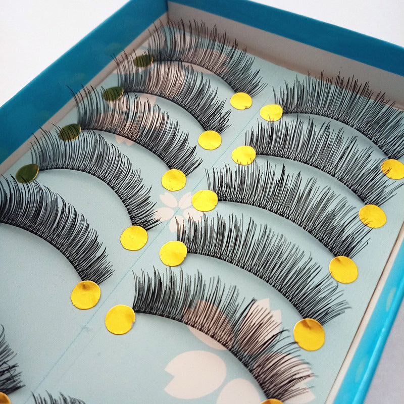 Ten Pairs Of New Fashion and Simple False Eyelashes