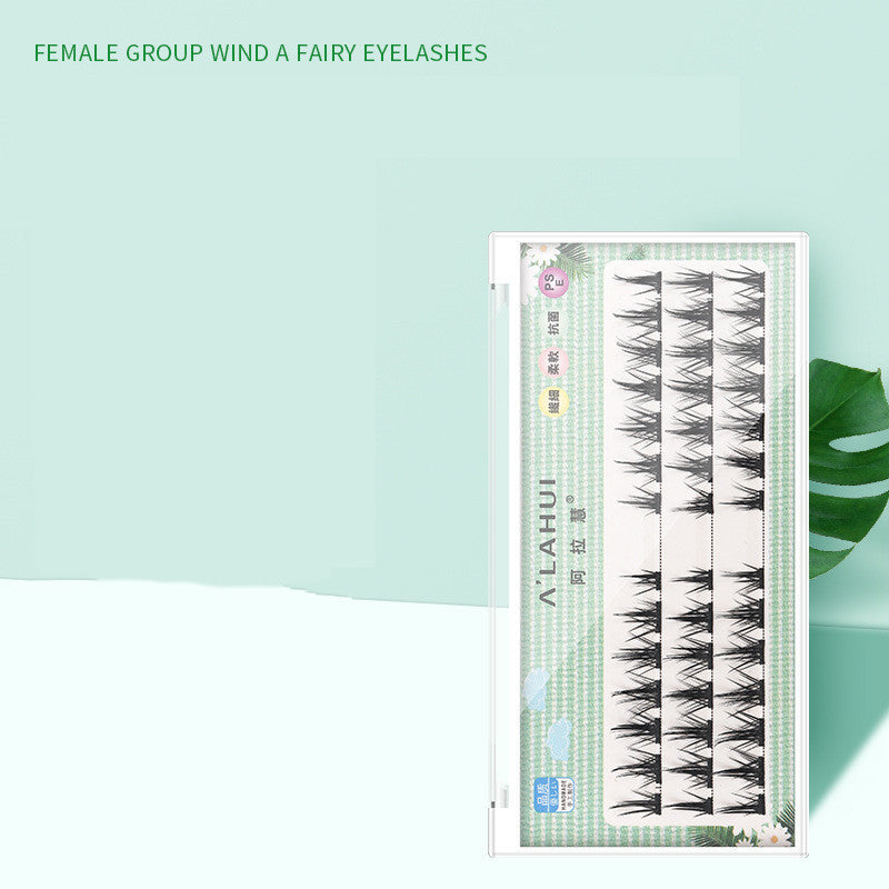 False Eyelashes Segmented Have Been Cut Single Line Hard Stem