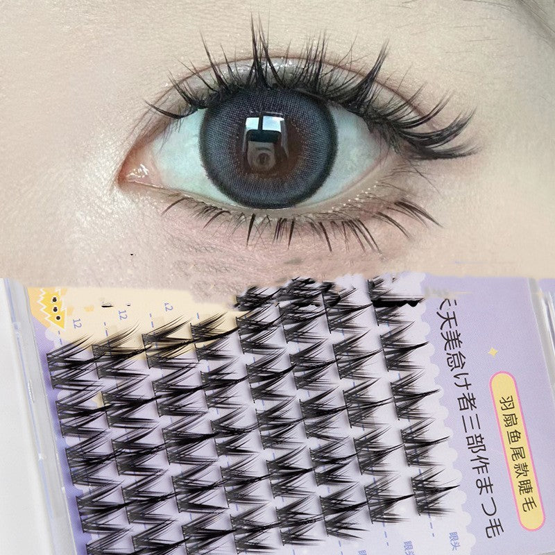 Segment Caramel Guppy False Eyelashes