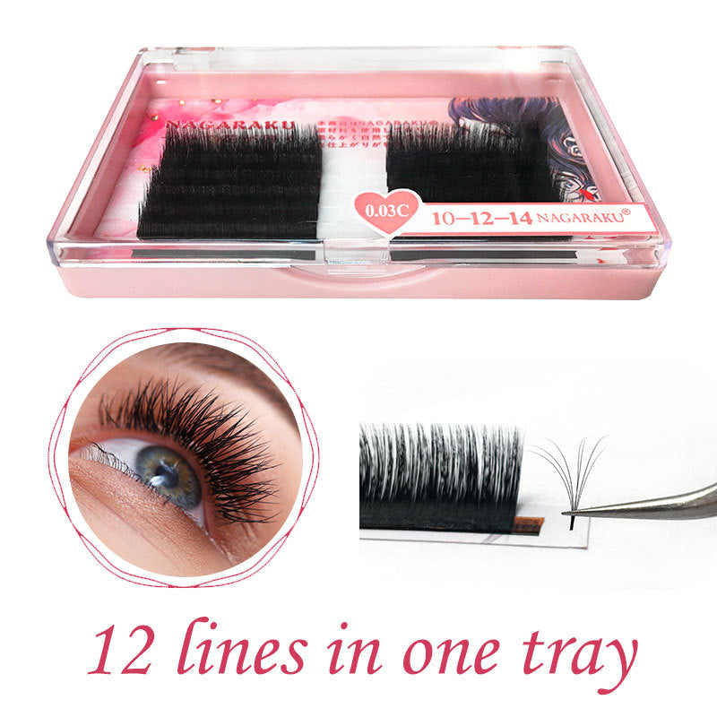 Japanese Camellia Grafting Eyelash Magnetic Natural Novice