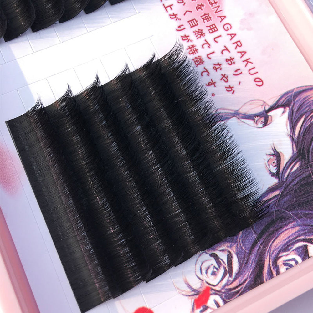 Japanese Camellia Grafting Eyelash Magnetic Natural Novice