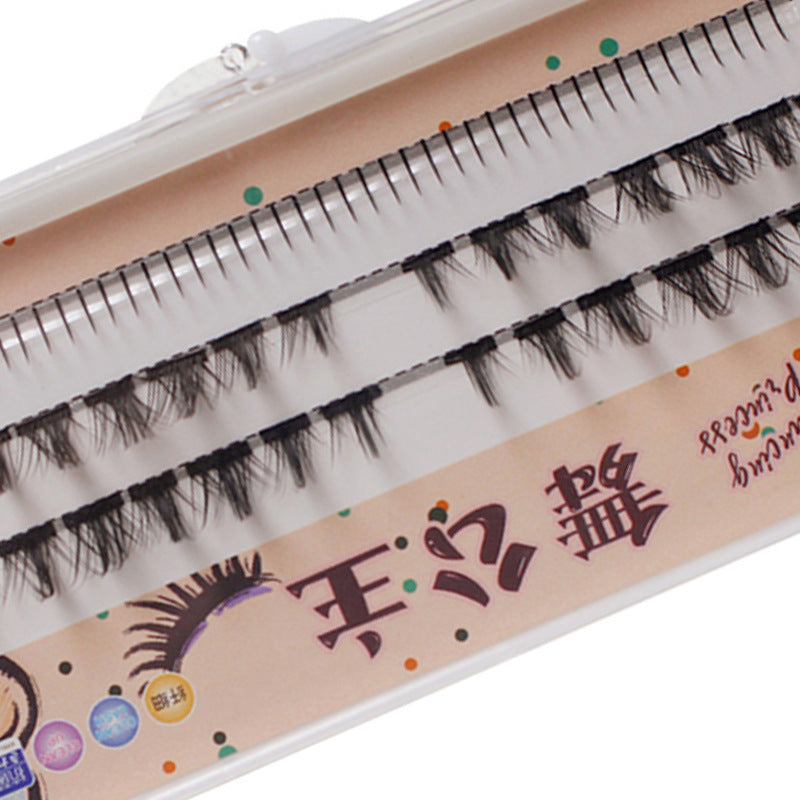 Ladies Fashion Natural Segmented False Eyelashes