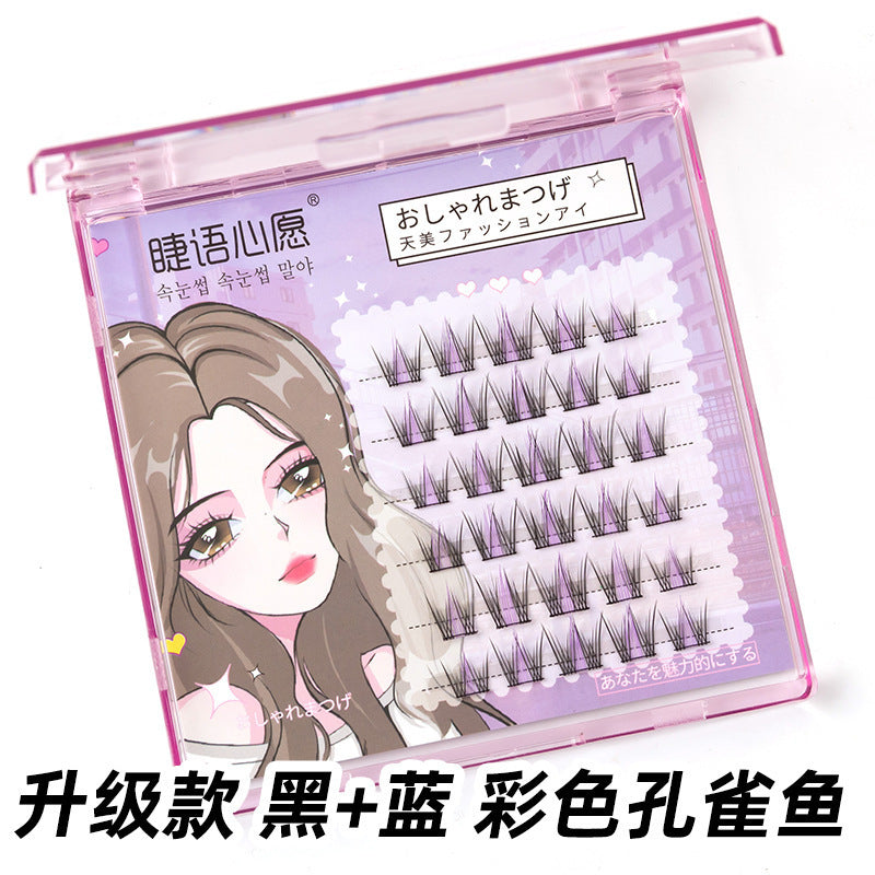 Segment Caramel Guppy False Eyelashes